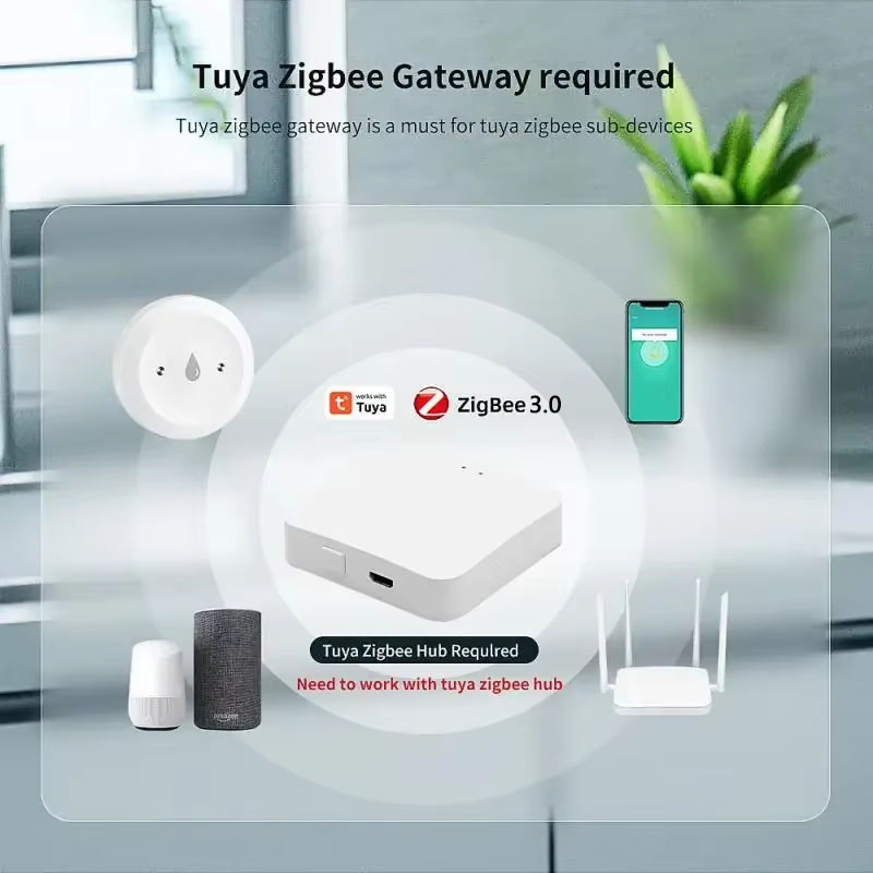 Für Tuya ZigBee 3.0 Intelligen – Home Security Monitoring Bewertung und Preis