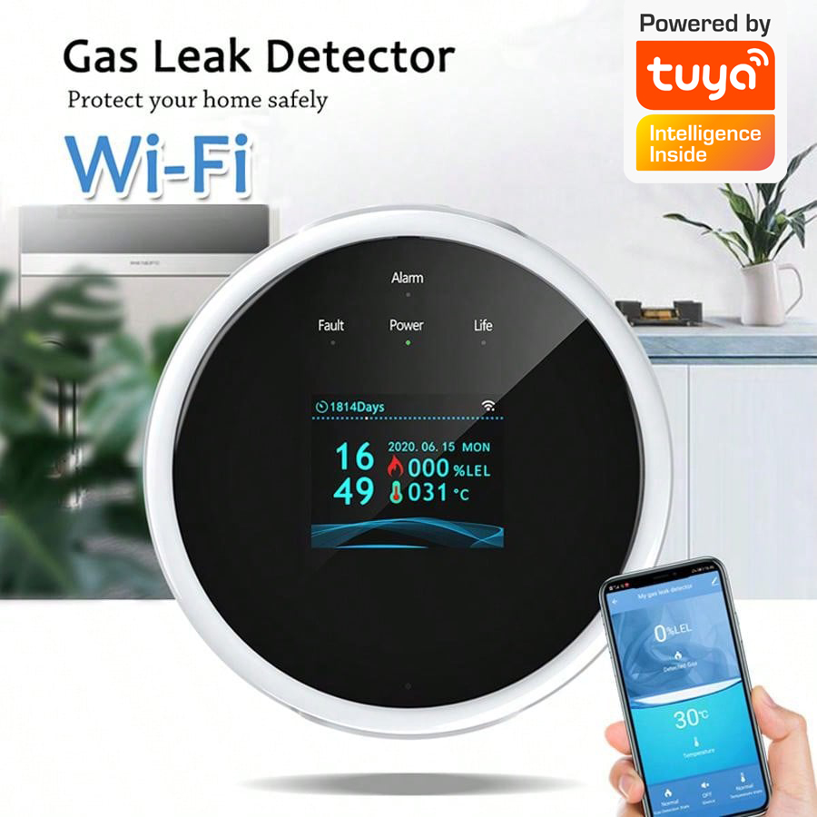 2,4G WiFi Gasalarm-Sensor, Det – Home Security Monitoring Bewertung und Preis